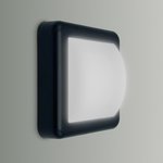 Imagen de APLIQUE Pared 4w Led Entero Cuadrado Frio Negro 14x14x5 cm