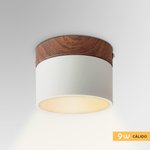 Imagen de PANEL LED 9W Calido Blanco-Madera Ø10cm