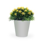 Imagen de MACETA con Flores Jasmin Arabe
