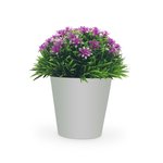 Imagen de MACETA con Flores Jasmin Arabe