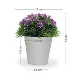 Imagen de MACETA con Flores Jasmin Arabe