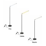 Imagen de Lampara de Pié LED 14w Cane Negra 150cm H