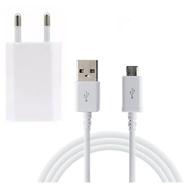 Imagen para la categoría PARED MICRO USB