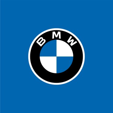Imagen para la categoría BMW