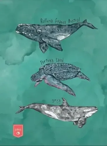 Imagen de LIBRETA OCÉANO DE URUGUAY