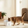 Imagen de Bebedero Inteligente Xiaomi Pet Fountain 2 3L