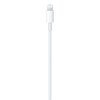 Imagen de Cable De Carga Usb C A Lighting Apple 96w 2m