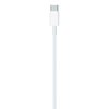 Imagen de Cable De Carga Usb C A Lighting Apple 96w 2m