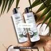 Imagen de Acondicionador Sin Sal Riviera Leche y Coco Para Cabello Seco 1L