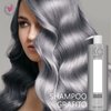 Imagen de Shampoo Matizador Canas Y Platinados Riviera Grafito 500ml