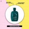 Imagen de Shampoo Sin Sal Alfaparf Semi Di Lino Reconstruction Reparative 250ml