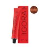 Imagen de Tinta Permanente Schwarzkopf Igora Royal Tono 6-77 60gr