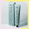 Imagen de Tinta Permanente Schwarzkopf Igora Royal Highlifts 12-1 60gr