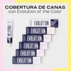 Imagen de Tinta Permanente Alfaparf Evolution Of The Color N° 11.02 60ml