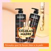 Imagen de Shampoo Sin Sal Riviera Células Madre 1L + Acondicionador Sin Sal 1L + Keratina Riviera Ka 350gr