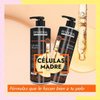Imagen de Alisado De Células Madre Riviera 350gr + Shampoo Sin Sal Riviera Células Madre 1L + Acond Sin Sal 1L