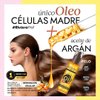Imagen de Alisado De Células Madre Riviera 350gr + Shampoo Sin Sal 1L + Acondicionador Sin Sal 1L + Aceite Argán Oleo 100ml