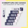 Imagen de Tinta Permanente Alfaparf Evolution Of The Color N° 6.66i 60ml