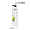 Imagen de Pack Shampoo Sin Sal Riviera Menta y Limón Para Cabellos Grasos 1L + Acondicionador 1L