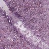 Imagen de Esmalte De Uñas Gel Semipermanente Bluesky Purple Diamond Glitter 15ml