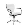 Imagen de Silla Profesional Para Peluquería Dompel Fija Top Fija Stand