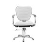 Imagen de Silla Profesional Para Peluquería Dompel Fija Top Fija Stand