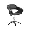 Imagen de Silla Para Peluquería Dompel Primma Manual Profesional Negra