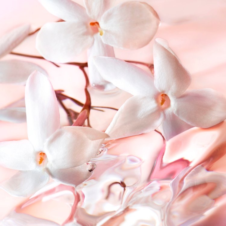Imagen de Lancôme Idôle Perfume de Mujer  L'eau De Toilette 25 ml