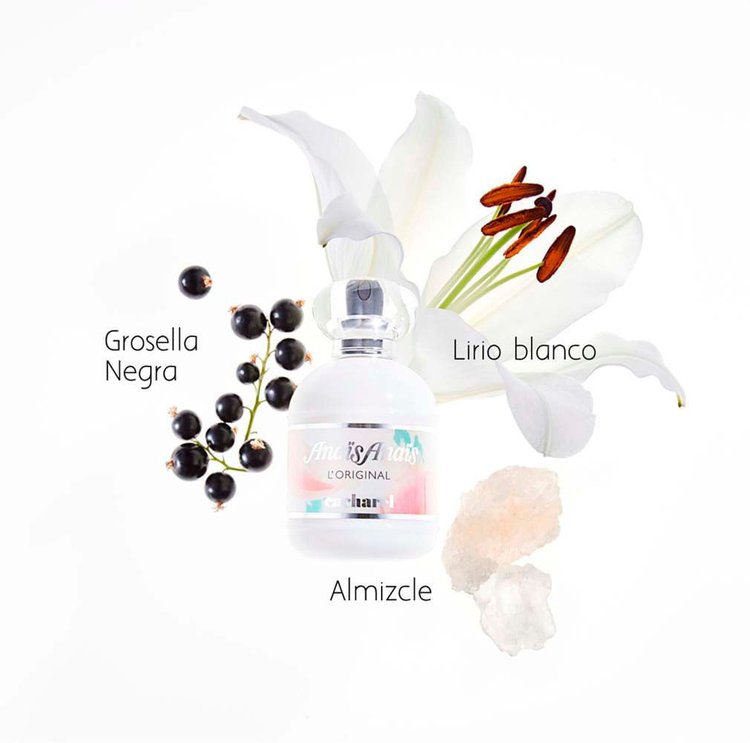 Imagen de Anais Anais Edt X 100 Ml